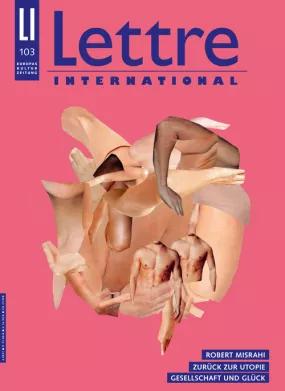 Cover Lettre International, Monica Bonvicini